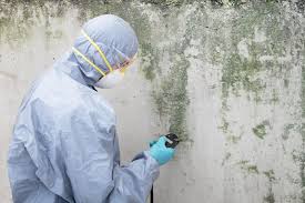 Best Emergency Mold Remediation  in Parma Heights, OH